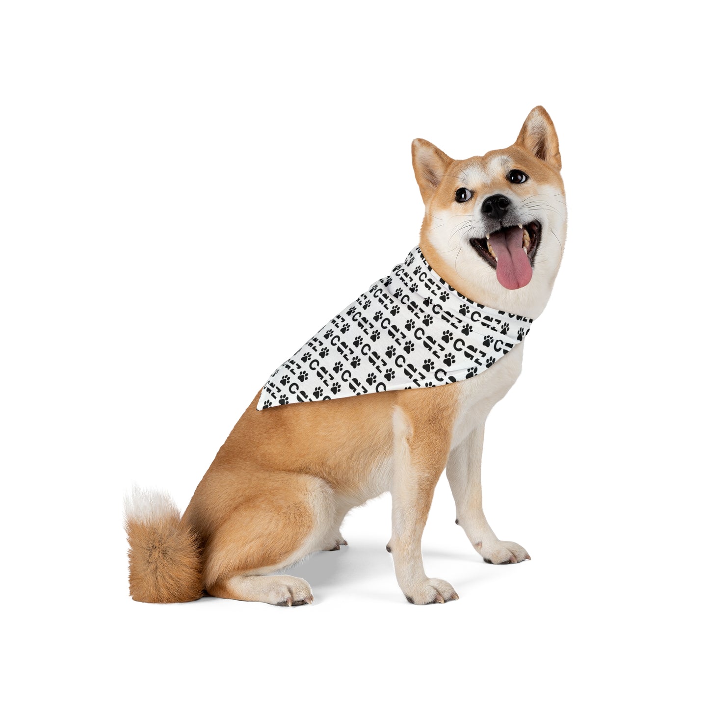CAZ Doggie Bandana