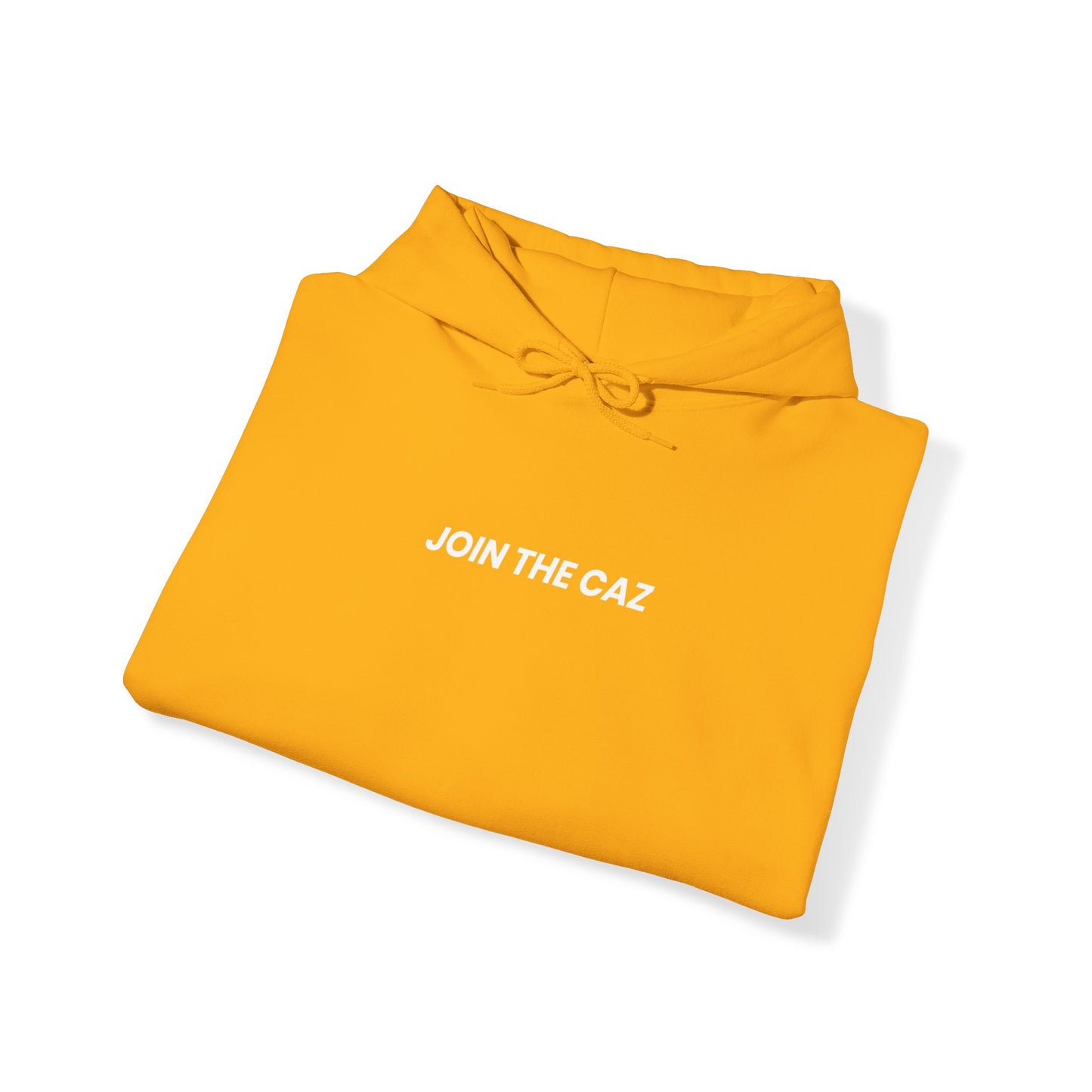 JTC Fade Hoodie