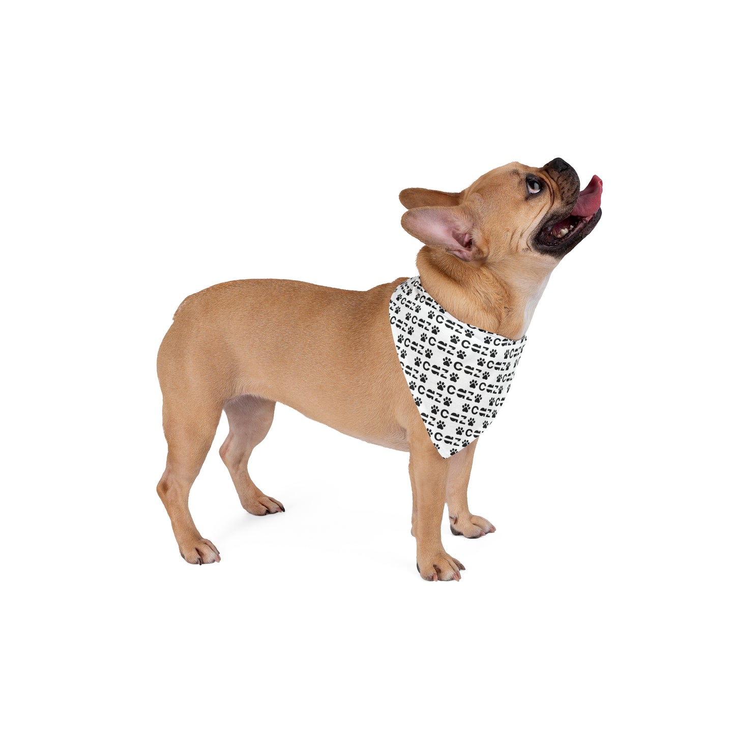 CAZ Doggie Bandana